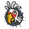 chickenoutfitmedia