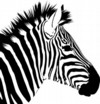 Zebra Comics