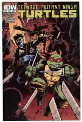 Teenage Mutant Ninja Turtles (IDW) 2011- #22