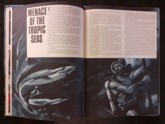 Story Page
