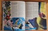 Example Page